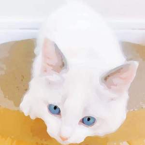 徐青龙漫画免费全部章节
